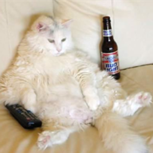 RichardOBrien's avatar